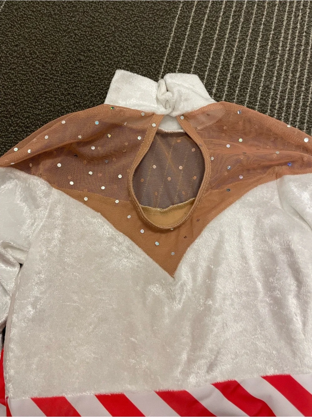 Holiday Velvet Dance costume